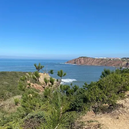 Luxury With Heated Pool & Panoramic Ocean & Valley Views 빌라 상 마르티뇨 두 포르투